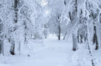 нарисуй зиму